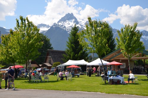 A lively outdoor event in a park with people, tents, and mountains in the background under a clear blue sky.