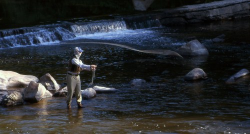 A person fishing in a river, casting a line while standing on rocks near a small waterfall.