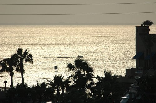 Silhouetted palm trees in the foreground with a shimmering ocean and a small boat in the distance at sunset.