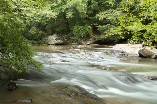 A serene river flows through a lush green forest, with smooth rocks and gentle currents creating a tranquil scene.