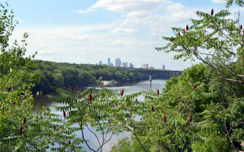 A scenic view of a river with lush greenery and a city skyline in the background under a partly cloudy sky.