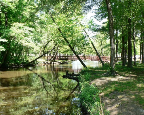 A serene river scene with lush green trees and a wooden bridge reflected in the calm water.