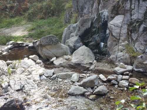 A serene rocky stream with smooth stones and a small waterfall surrounded by lush greenery.