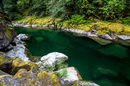 A serene river surrounded by lush greenery and moss-covered rocks, reflecting the tranquil water.