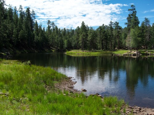 A serene lake surrounded by lush green grass and tall trees under a partly cloudy sky.