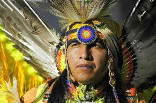 A man in traditional Native American attire with feathers and colorful accessories, gazing thoughtfully.