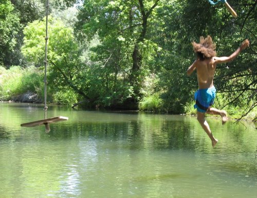 A person jumps off a swing into a calm river surrounded by lush greenery.