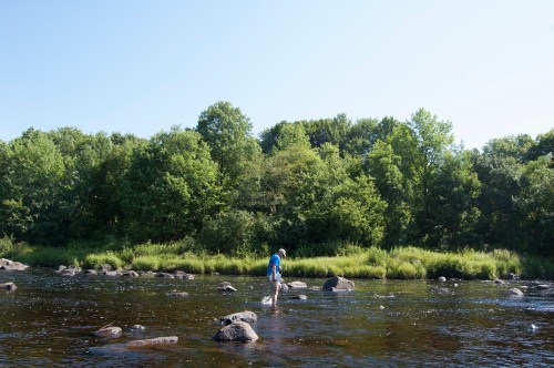 A person wades through a river, surrounded by lush greenery and rocks under a clear blue sky.