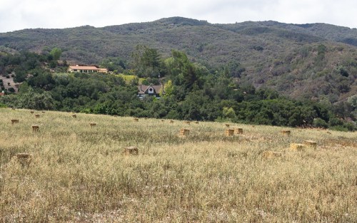 A scenic landscape featuring a grassy field with hay bales, surrounded by rolling hills and distant houses.