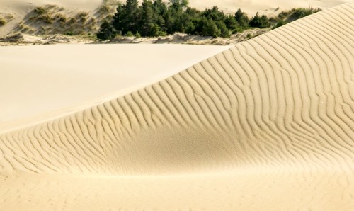 A close-up of a sandy dune with ripples, set against a backdrop of green vegetation and rolling hills.