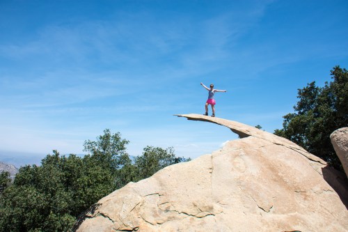 A person stands triumphantly on a large rock ledge, arms outstretched, against a clear blue sky and green trees.
