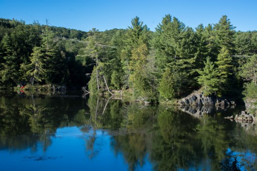A serene lake surrounded by lush green trees, reflecting the clear blue sky and vibrant foliage.