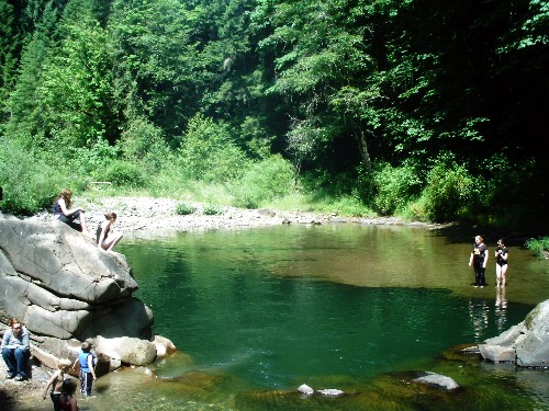 A serene natural setting with a green pool surrounded by trees, people swimming and relaxing on rocks.