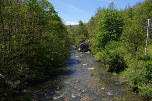 A serene river flows through a lush green landscape, surrounded by trees and rocky outcrops under a clear blue sky.