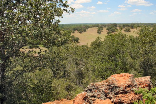 A scenic view of rolling hills and trees under a blue sky, with a rocky foreground.