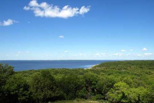 A scenic view of a lush green landscape meeting a calm blue sea under a clear sky with scattered clouds.