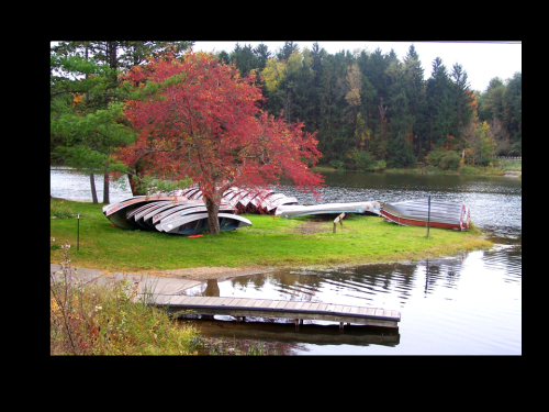 Boats stacked near a calm lake, surrounded by trees with autumn foliage and a wooden dock.