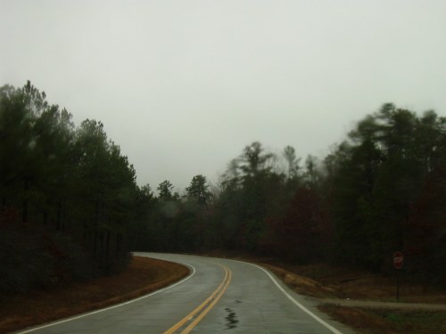 A winding road through a dense forest on a cloudy, rainy day.