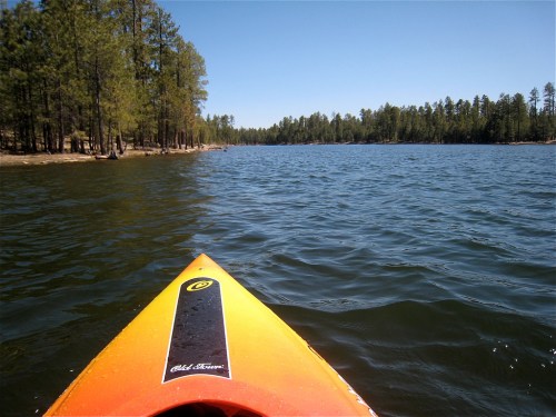 A kayak's bow on a calm lake, surrounded by tall trees and clear blue skies.