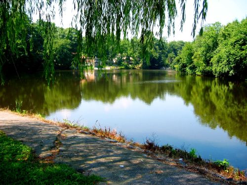 A serene lake surrounded by lush greenery, reflecting trees and a clear blue sky on a sunny day.