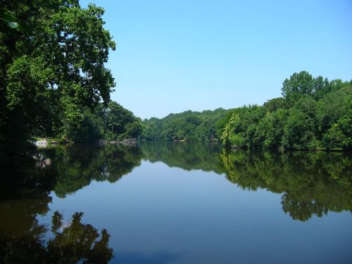 A serene river scene reflecting lush green trees under a clear blue sky.
