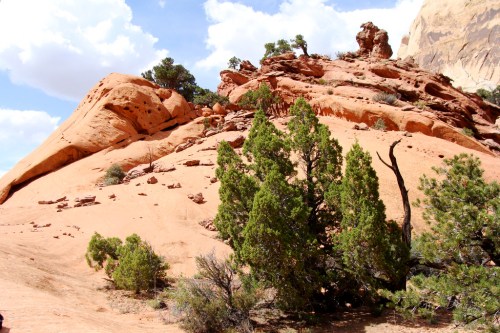 A rocky landscape with red sandstone formations and scattered green trees under a blue sky with fluffy clouds.
