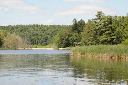 A serene lake surrounded by lush greenery and trees under a partly cloudy sky. Reflections shimmer on the water's surface.