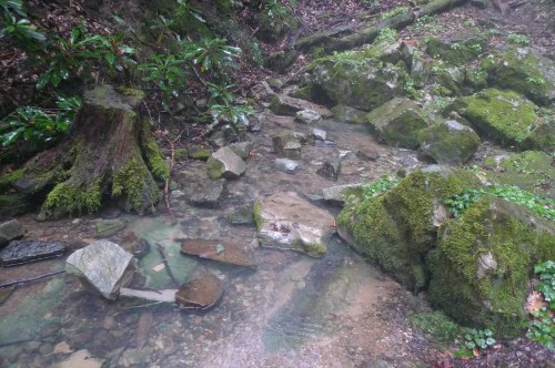 A serene stream flows over rocks and moss in a lush, green forest setting.