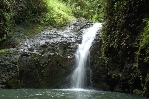 A serene waterfall cascading over rocky terrain, surrounded by lush greenery and a tranquil pool below.