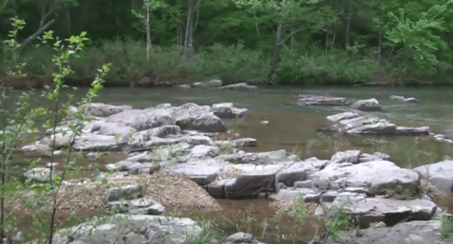 A serene river scene with rocky banks and lush green trees in the background.