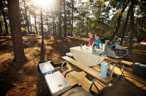 Two children stand at a picnic table in a wooded campsite, with coolers and cooking equipment nearby, sunlight filtering through trees.