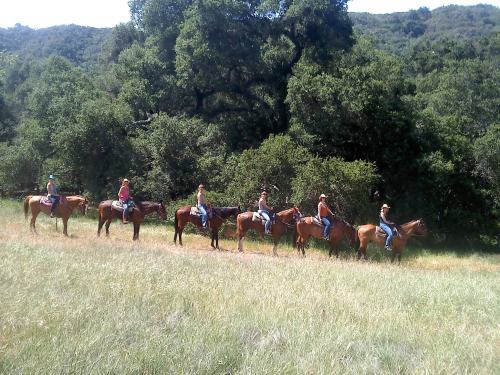 A line of six horseback riders on a grassy trail, surrounded by trees and hills in the background.