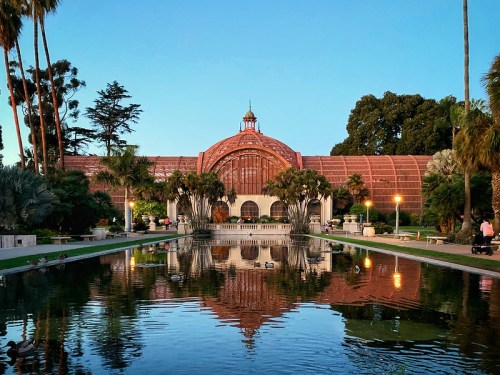 A beautiful conservatory at dusk, reflecting in a calm pond, surrounded by palm trees and illuminated by street lamps.