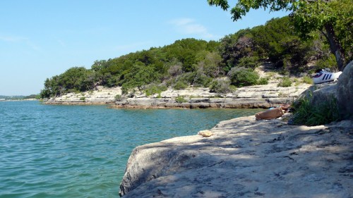 A rocky shoreline with green trees and calm blue water under a clear sky.