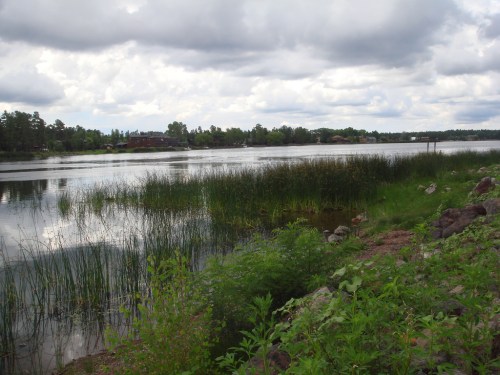 A serene lake scene with lush greenery and tall grasses along the shore, under a cloudy sky.