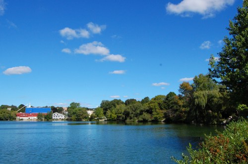 A serene lake surrounded by greenery under a clear blue sky with a few clouds and buildings in the background.