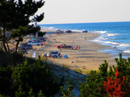 A scenic beach view with people, cars, and umbrellas along the shore, framed by trees in the foreground.