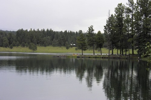 A serene lake surrounded by trees, reflecting the landscape and a cloudy sky in the background.