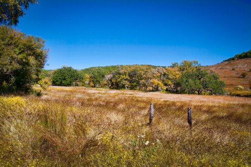 A serene landscape featuring a grassy field, trees, and a clear blue sky under bright sunlight.