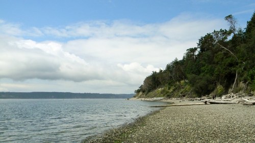 A serene shoreline with pebbles, trees, and a cloudy sky reflecting over calm water.