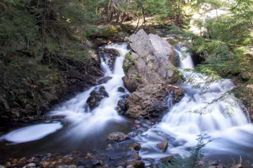 A serene waterfall cascades over rocks, surrounded by lush greenery and dappled sunlight.