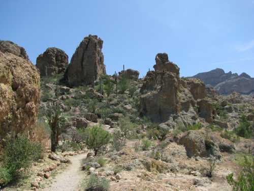 A rocky desert landscape with cacti and shrubs under a clear blue sky.