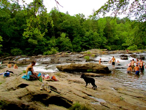 A rocky river scene with people swimming and relaxing, surrounded by lush green trees and a dog nearby.