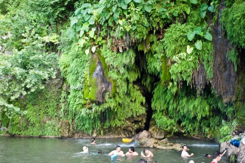 People swimming in a lush, green natural pool with a waterfall and dense foliage surrounding the area.