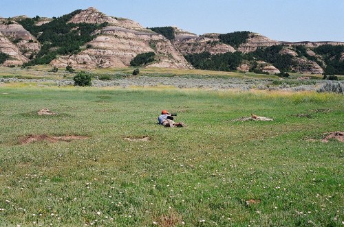 A person in an orange hat lies on the grass, aiming a rifle towards the distant hills in a grassy landscape.