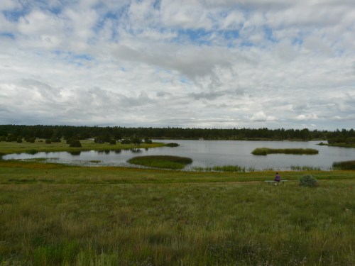 A serene landscape featuring a calm lake surrounded by greenery and cloudy skies, with a person sitting by the water's edge.