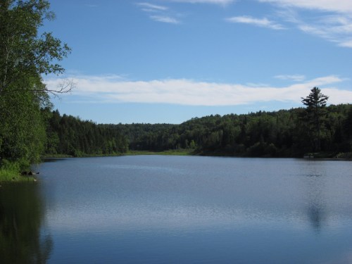 A serene lake surrounded by lush green trees under a clear blue sky. Reflections shimmer on the water's surface.