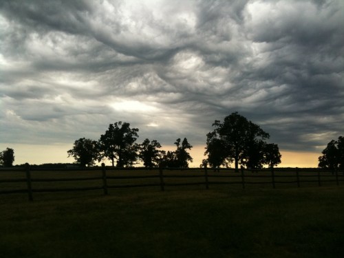Dramatic clouds loom over a grassy field with silhouetted trees and a wooden fence at sunset.