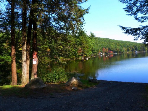A serene lake surrounded by trees, with a clear blue sky and reflections on the water's surface.