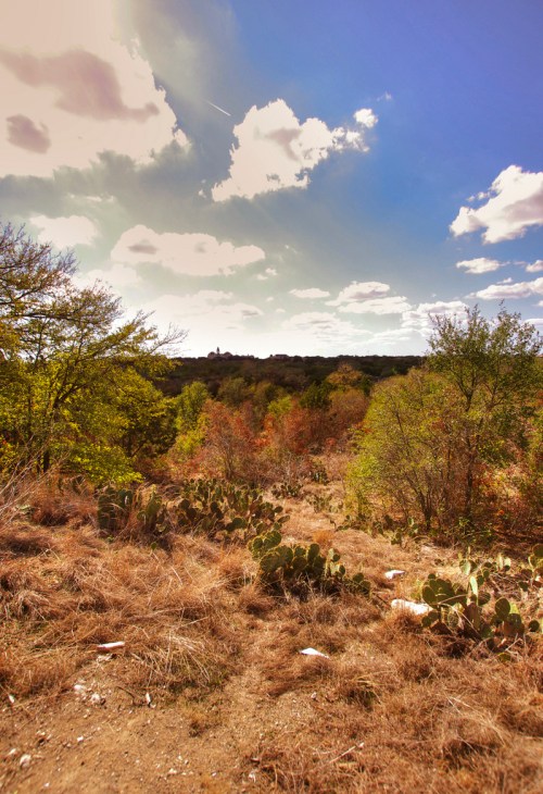 A scenic landscape featuring cacti, trees, and a blue sky with clouds, showcasing autumn colors in the foreground.